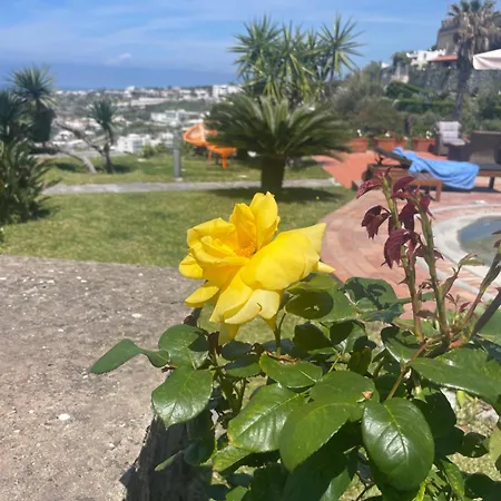 La Dimora Di Zoe * Forio (Isola d'Ischia)