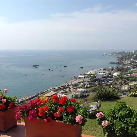 La Dimora Di Zoe * Forio di Ischia