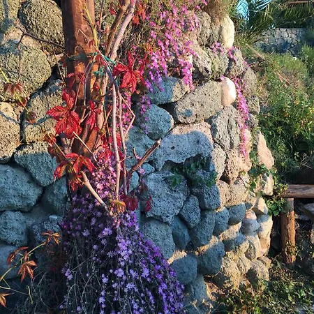 La Dimora Di Zoe Forio (Isola d'Ischia)